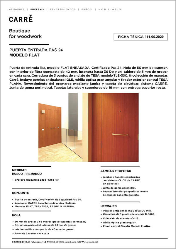 Ficha técnica puerta de entrada