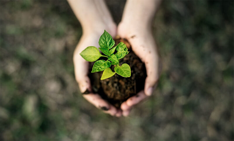 ACTIVIDAD RESPETUOSA CON EL MEDIO AMBIENTE